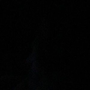 Meet your Posher, Buddy